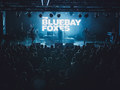 A holnap hangjai - The Bluebay Foxes