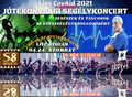 „Live CovAid 2021” online segélykoncert - „Zenészek és táncosok a kórházakért” 