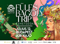 Két klip és öt fesztiválos fellépés is vár a budapesti Fülesbagoly Trip tehetségkutató döntőseire